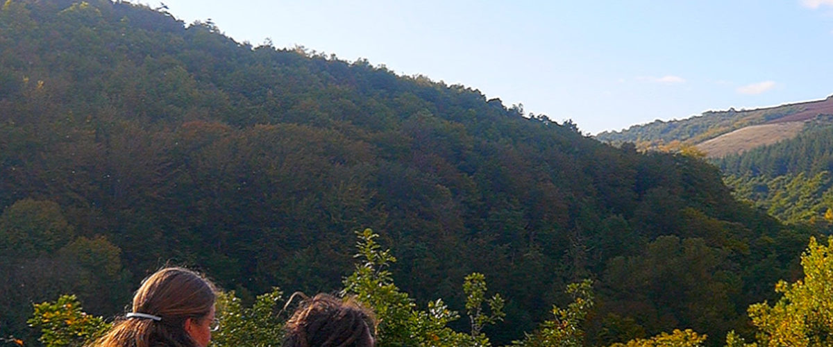 Permaculture en France